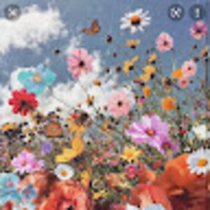 Meet your Posher, Alexis